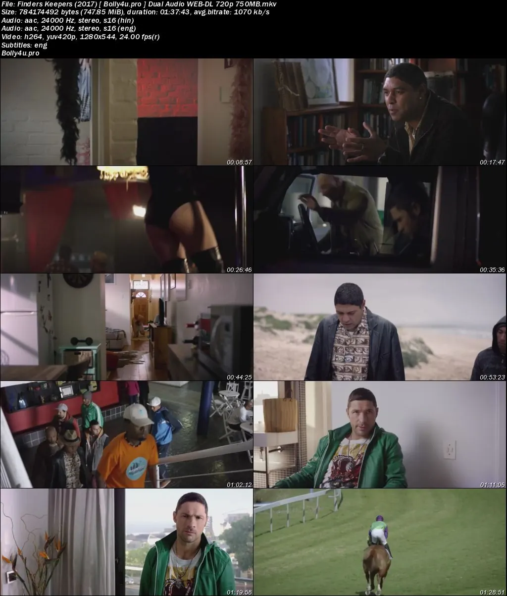 Finders Keepers 2017 WEB-DL 300MB Hindi Dual Audio 480p Download