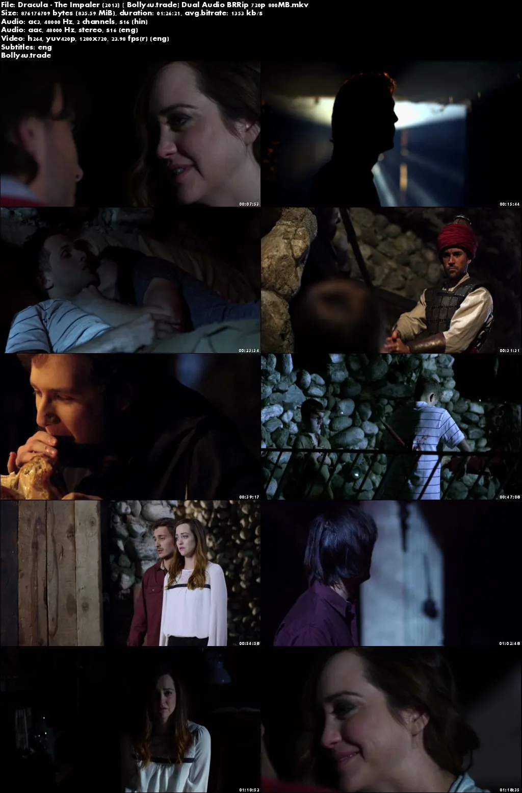 Dracula The Impaler 2013 BRRip 280Mb Hindi Dual Audio 480p ESub Download