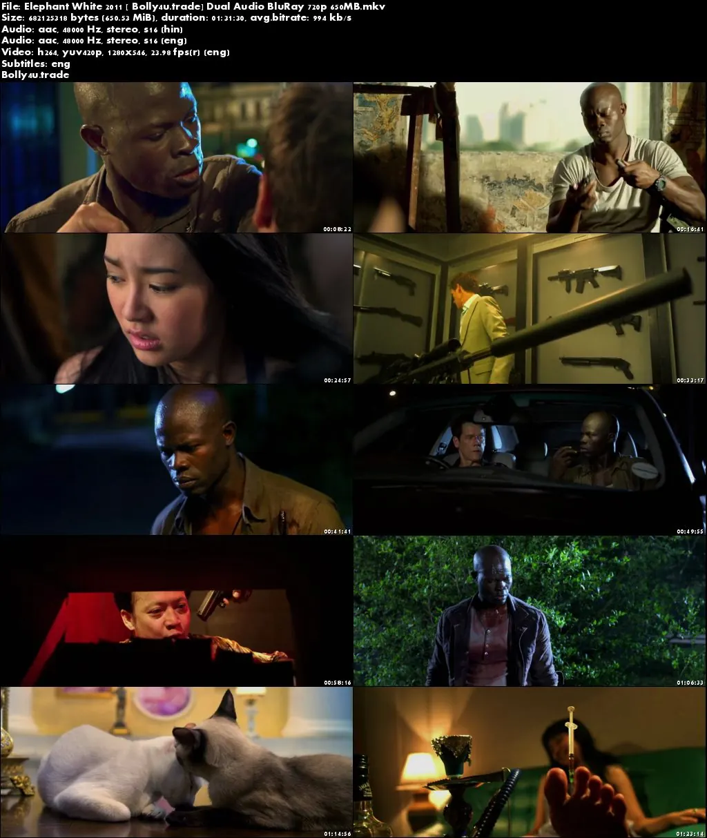 Elephant White 2011 BluRay 300Mb Hindi Dual Audio 480p ESub Download