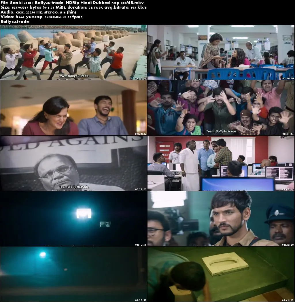 Sanki 2018 HDRip 350Mb Full Hindi Dubbed Movie Download 480p