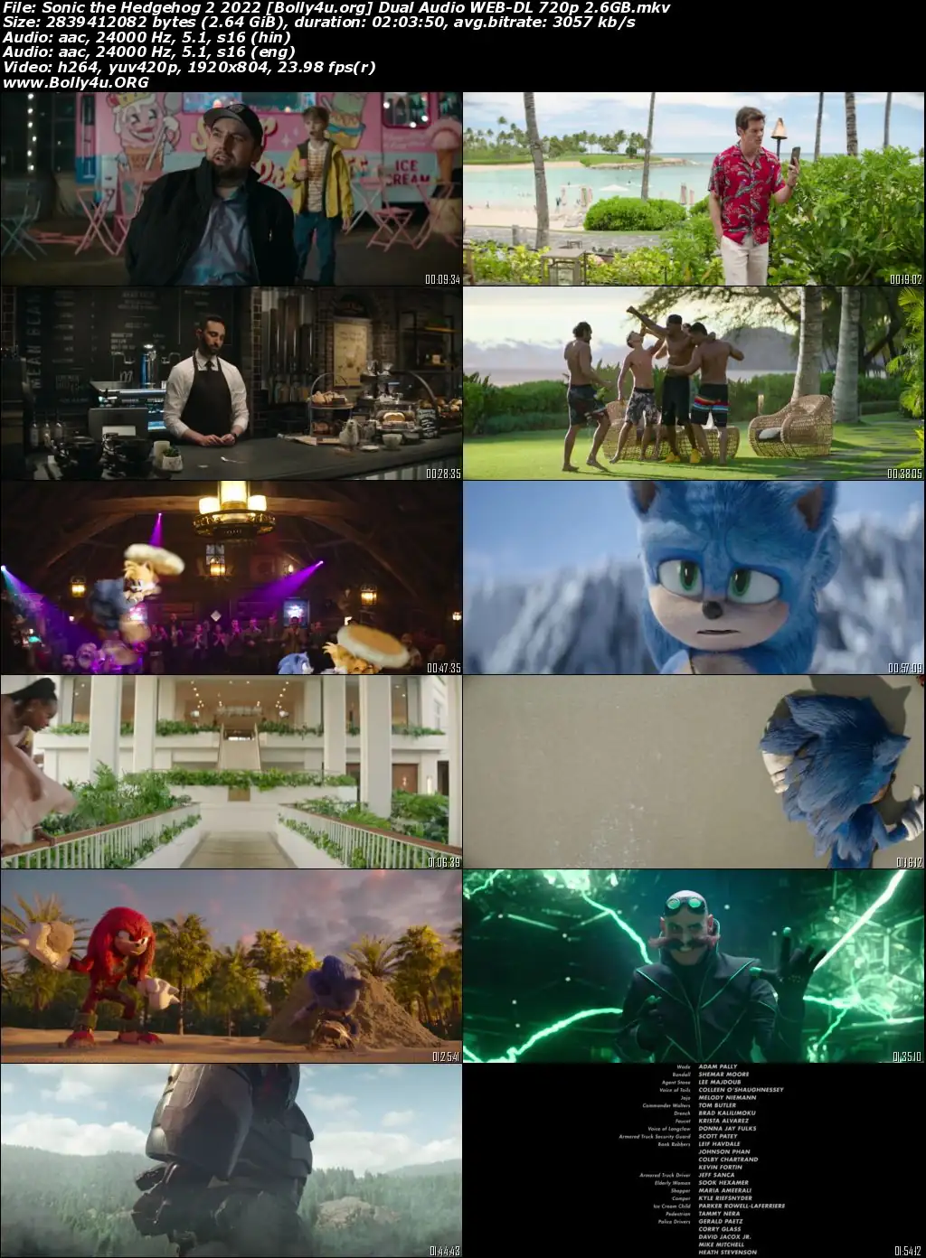 Sonic the Hedgehog 2 2022 WEB-DL Hindi Dual Audio ORG 720p 480p Download