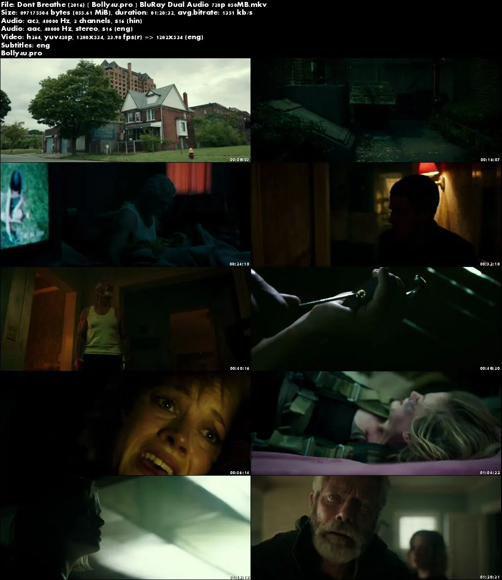 Dont Breathe 2016 BluRay 300Mb Hindi Dual Audio 480p Download Dont Breathe 2016 BluRay 300Mb Hindi Dual Audio 480p Download