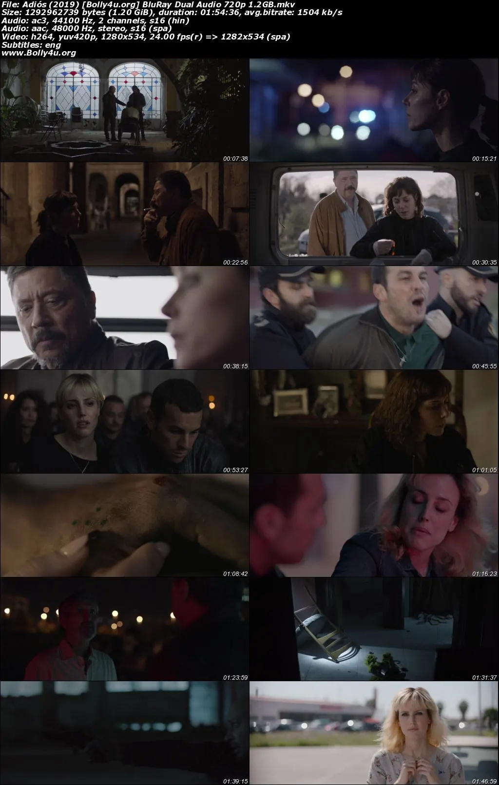 Adiós 2019 BluRay Hindi Dual Audio Full Movie Download 720p  480p