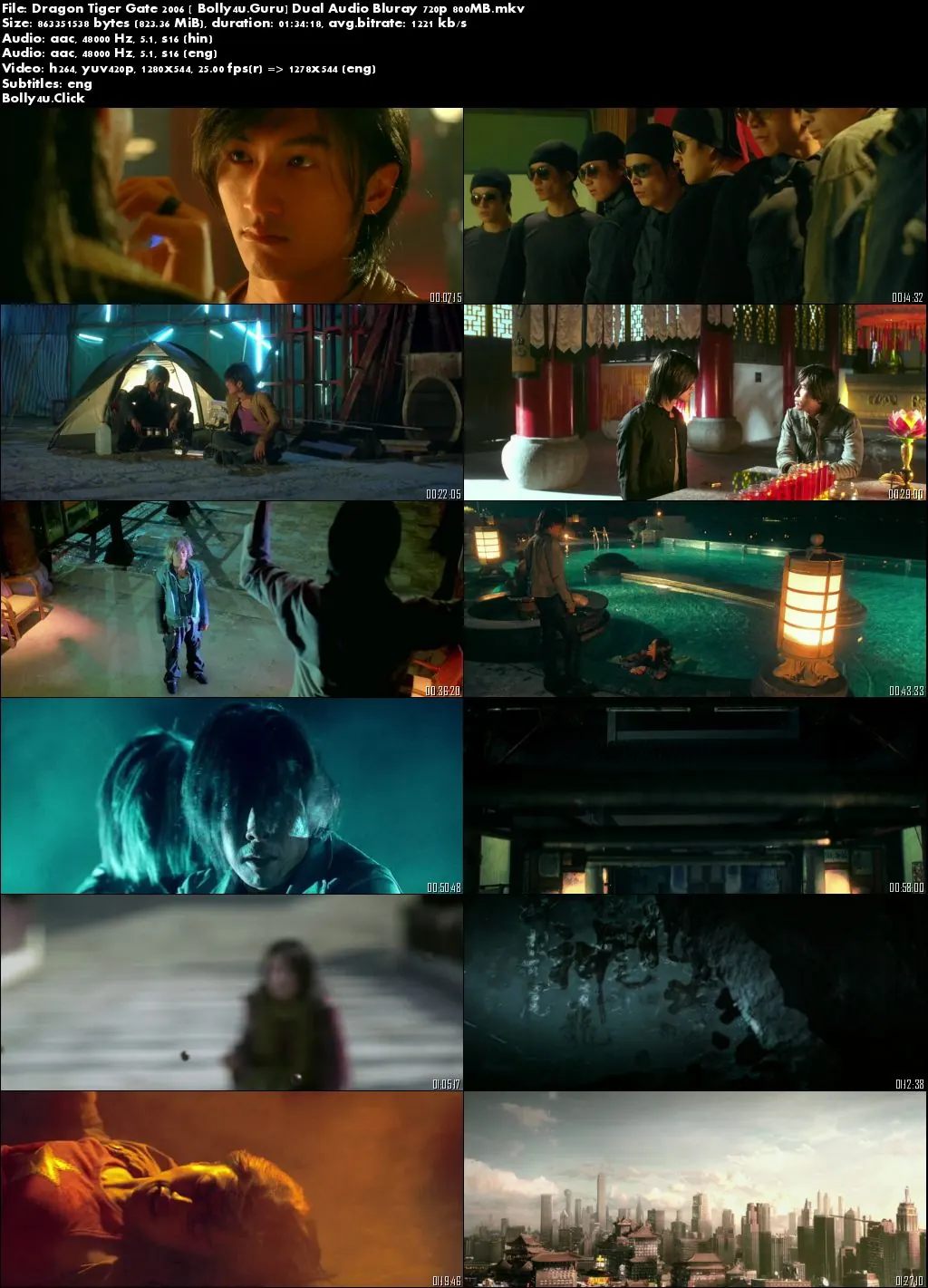 Dragon Tiger Gate 2006 BRRip 800Mb Hindi Dual Audio 720p Download