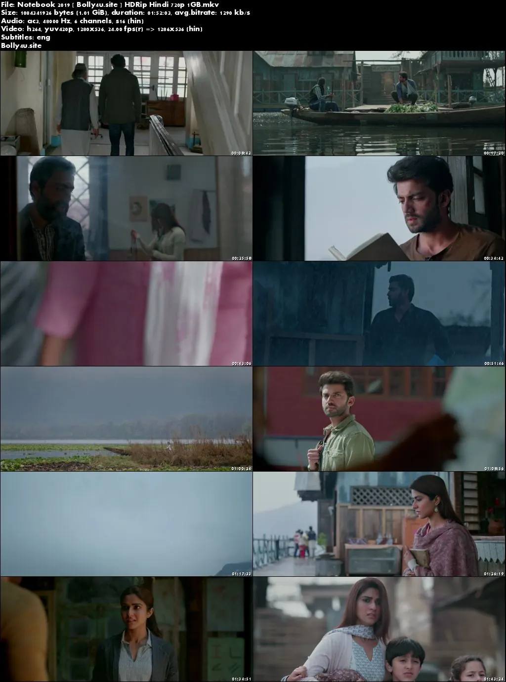 Notebook 2019 HDRip 350MB Hindi 480p ESub Download