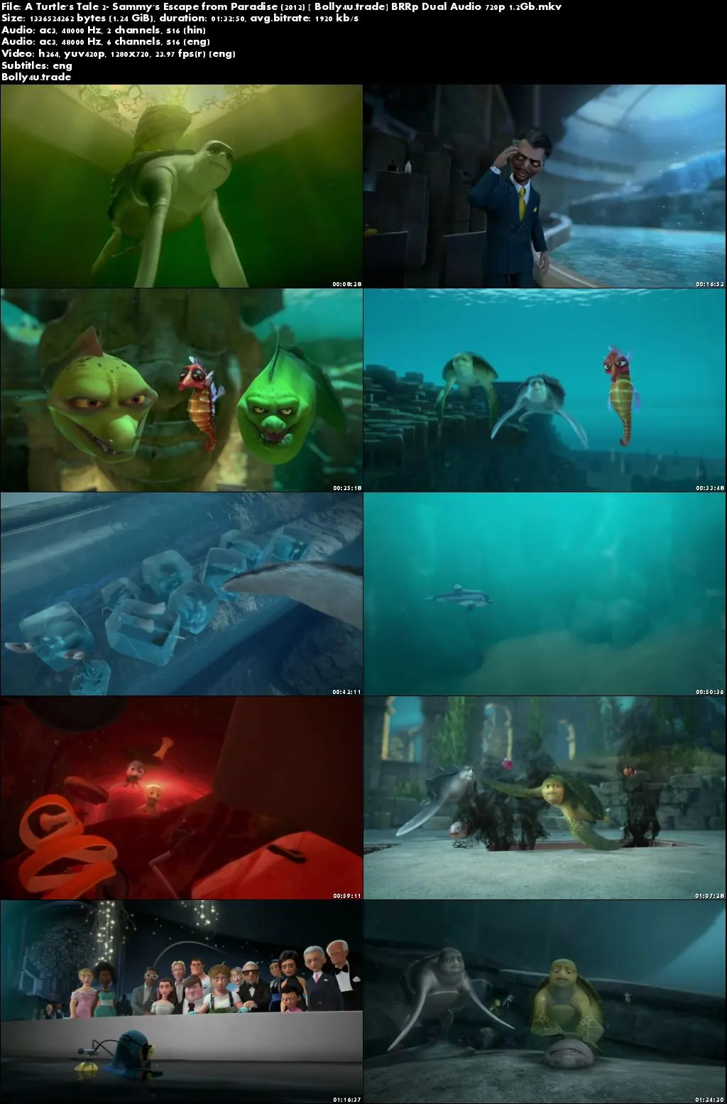 A Turtles Tale 2 Sammys Escape from Paradise 2012 BRRip 300MB Hindi Dual Audio 480p Download A Turtles Tale 2 Sammys Escape from Paradise 2012 BRRip 300MB Hindi Dual Audio 480p Download