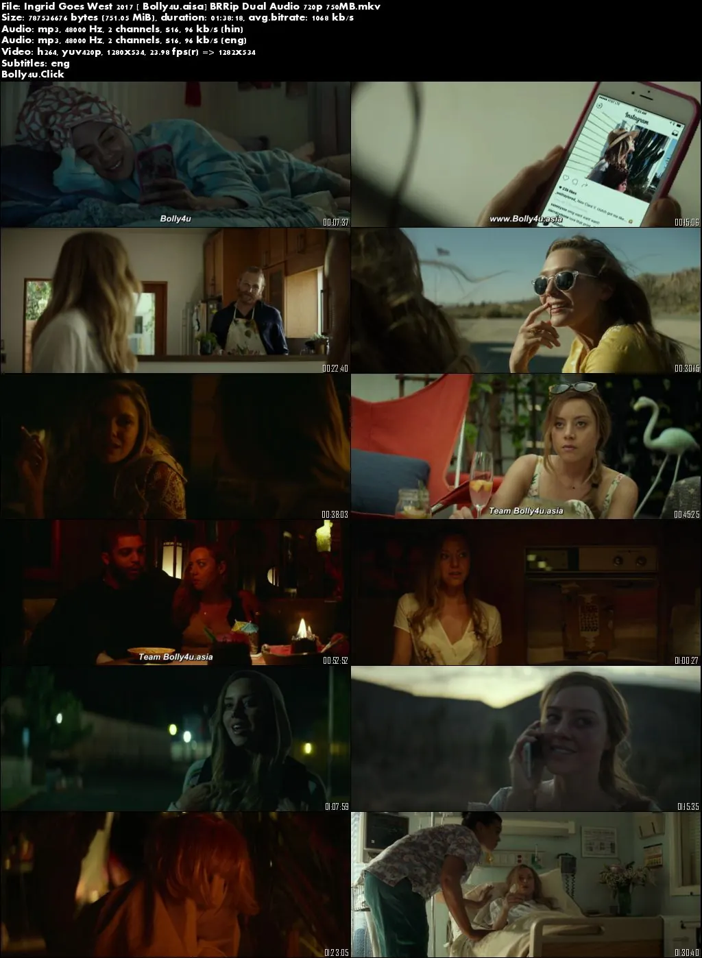 Ingrid Goes West 2017 BRRip 300MB Hindi Dual Audio 480p Download