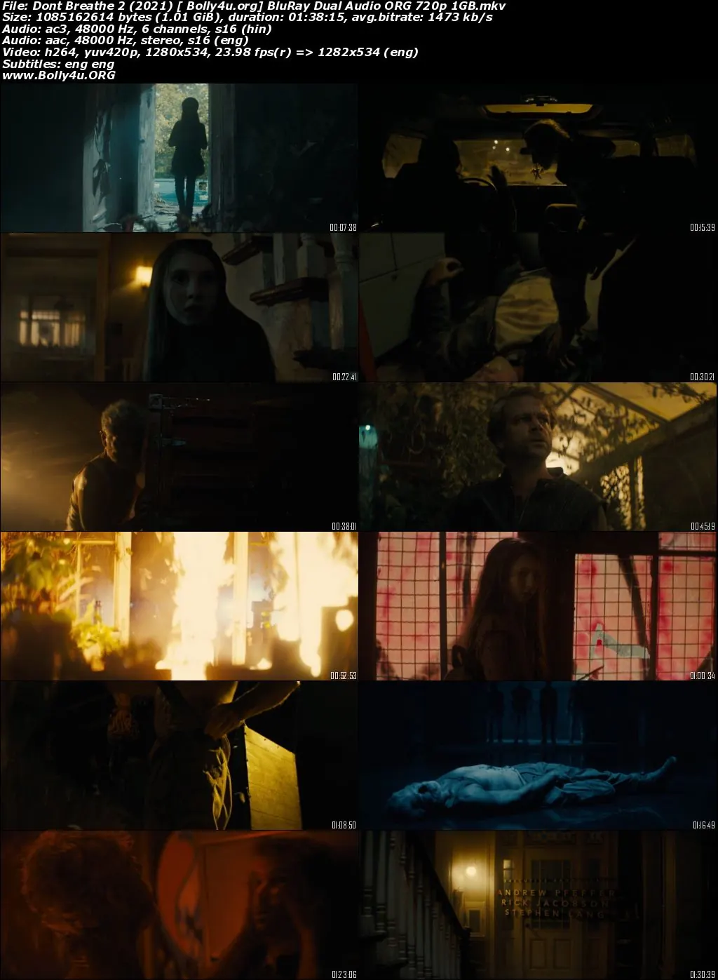 Dont Breathe 2 2021 BluRay 1GB Hindi Dual Audio ORG 720p ESubs Download
