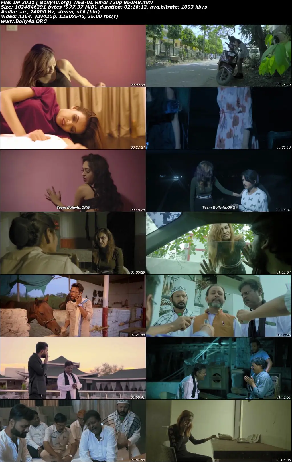DP aka Decadence Profile 2021 WEB-DL 400Mb Hindi 480p Download
