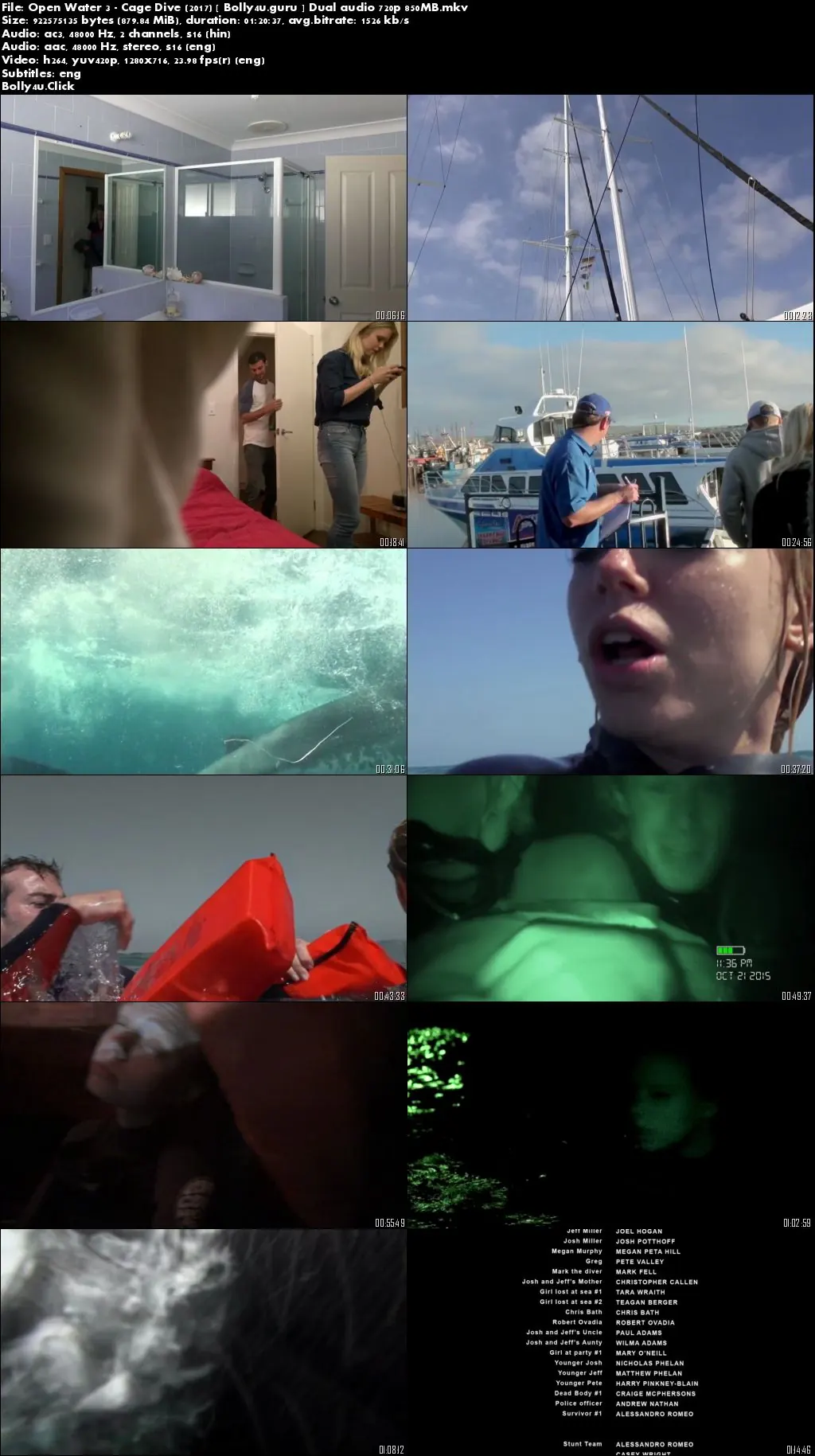 Open Water 3 Cage Dive 2017 BRRip 850Mb Hindi Dual Audio 720p Download