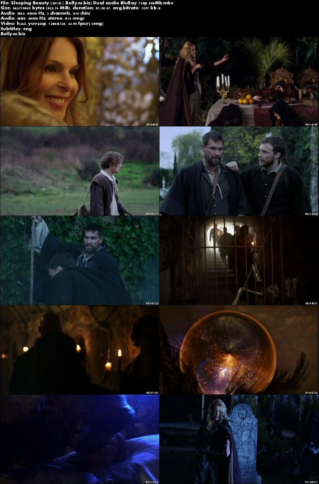 Sleeping Beauty 2014 BluRay 800Mb Hindi Dual Audio 720p Download