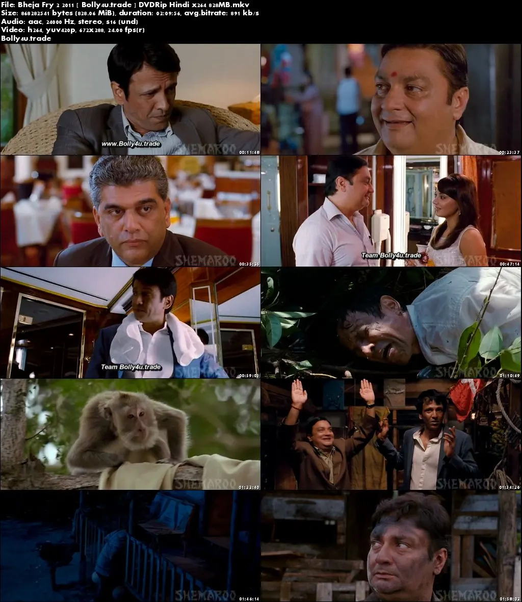 Bheja Fry 2 2011 DVDRip 800MB Full Hindi Movie Download x264