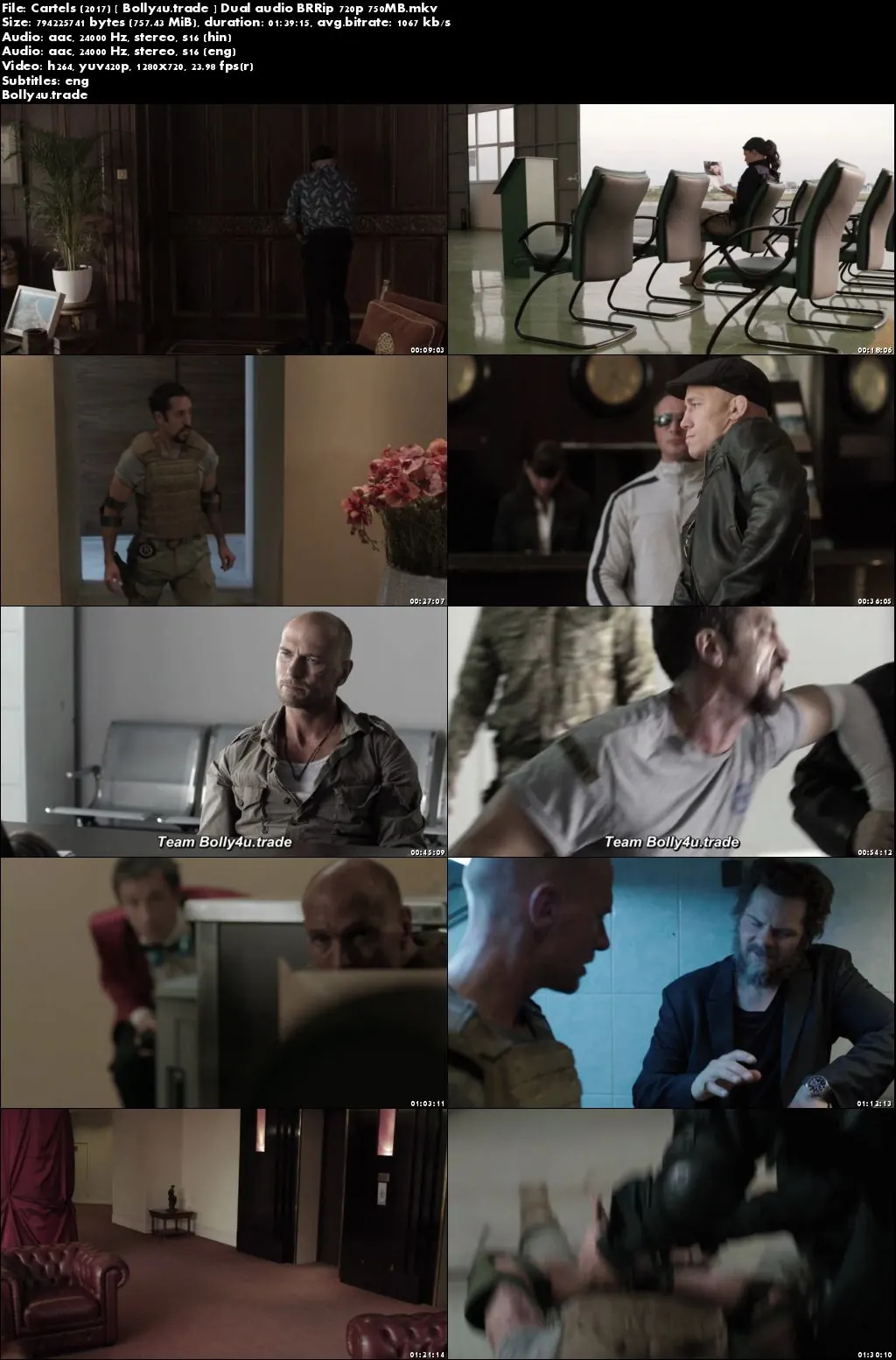 Cartels 2017 BluRay 750MB Hindi Dual Audio 720p Download
