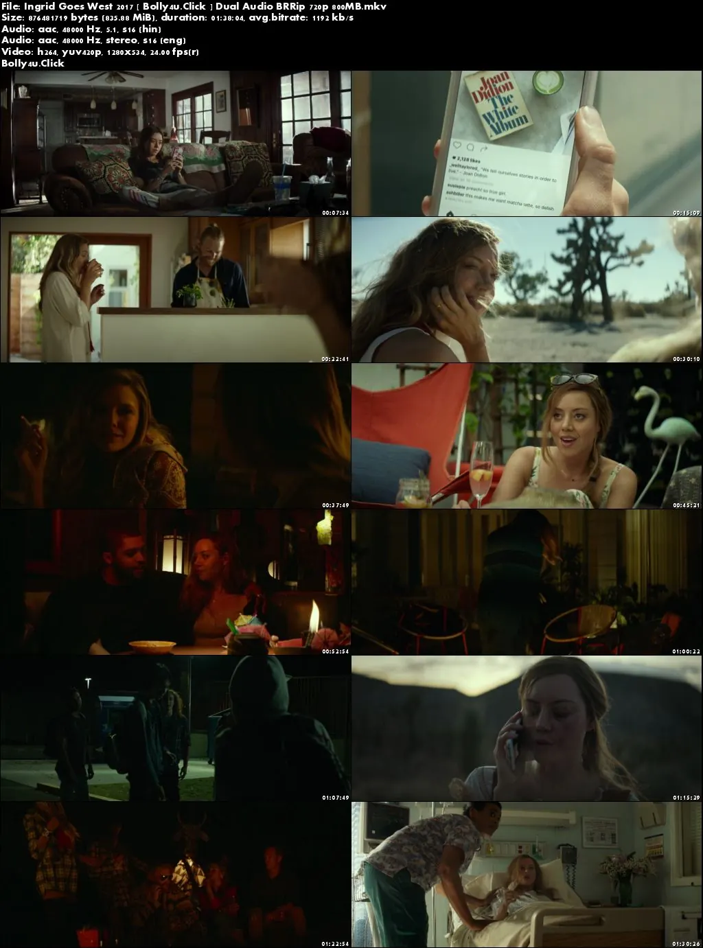 Ingrid Goes West 2017 BRRip 850Mb Hindi Dual Audio 720p Download