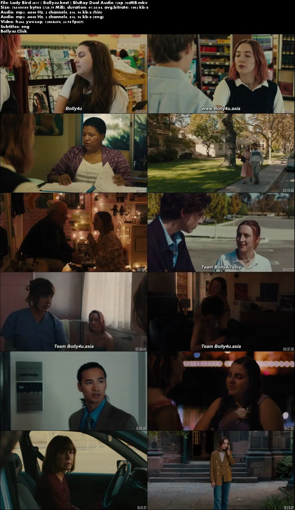 Lady Bird 2017 BluRay 300MB Hindi Dual Audio 480p Download