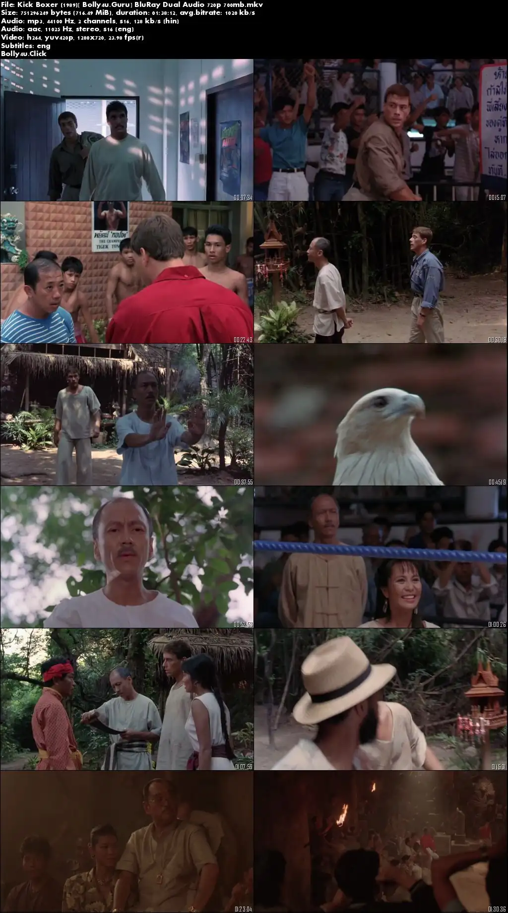 Kickboxer 1989 BluRay 300MB Hindi Dual Audio 480p Download