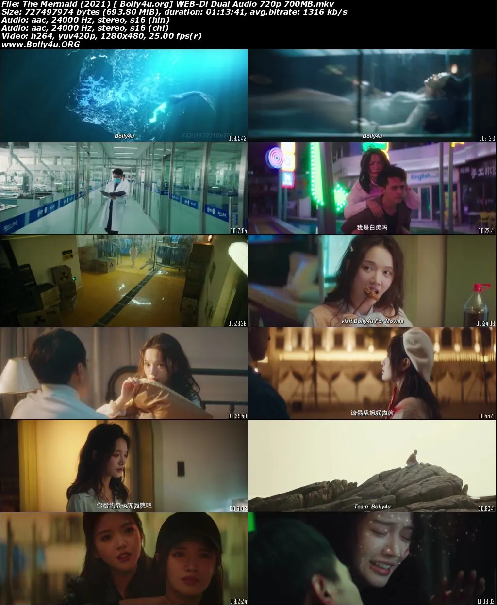 The Mermaid 2021 WEB-DL 250MB Hindi Dual Audio 480p Download