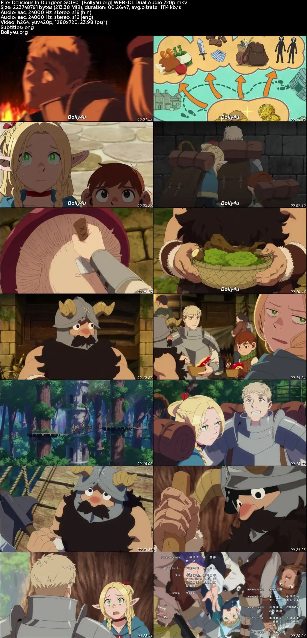 Delicious In Dungeon 2024 WEB-DL Hindi Dual Audio ORG S01 Complete Download 720p  480p