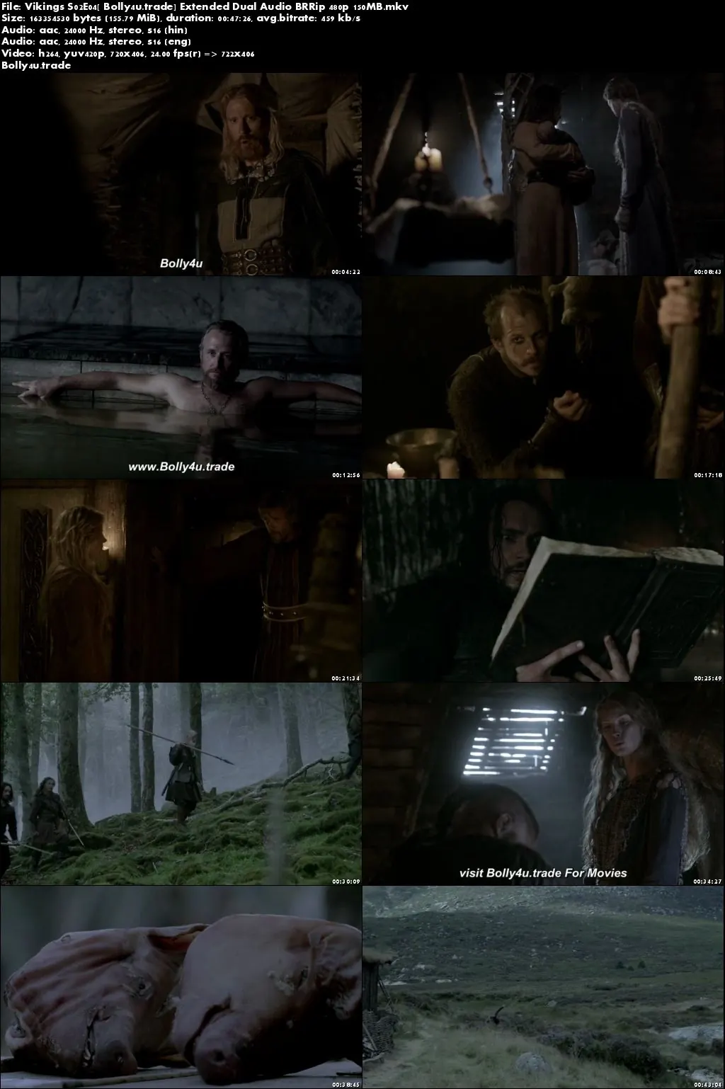 Vikings S02E04 BRRip 150MB Extended Hindi Dual Audio 480p Download