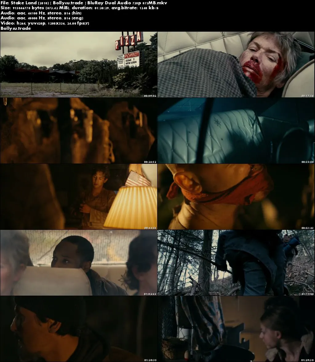 Stake Land 2010 BluRay 300MB Hindi Dual Audio 480p Download