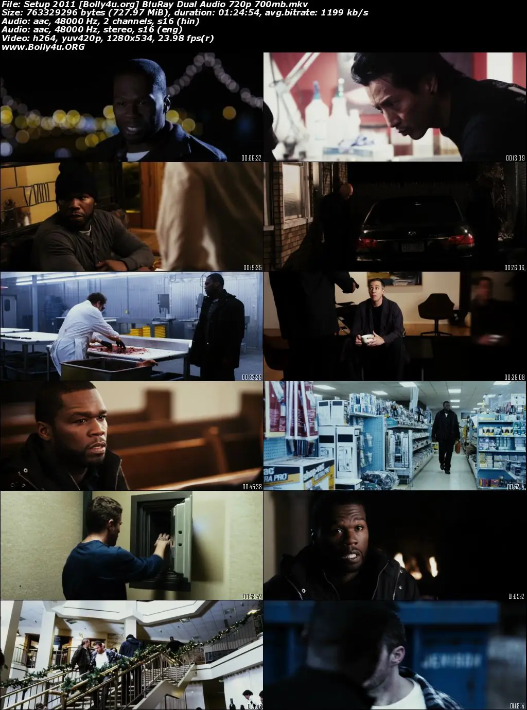 Setup 2011 BluRay 300MB Hindi Dual Audio 480p Download