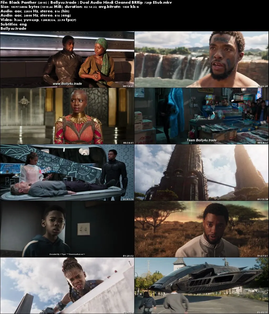 Black Panther 2018 BRRip 400MB Hindi Dual Audio 480p ESub Download