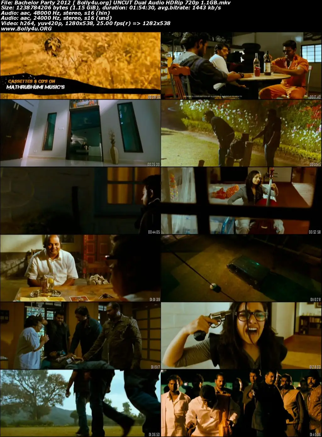 Bachelor Party 2012 HDRip 400MB UNCUT Hindi Dual Audio 480p Download Bachelor Party 2012 HDRip 400MB UNCUT Hindi Dual Audio 480p Download