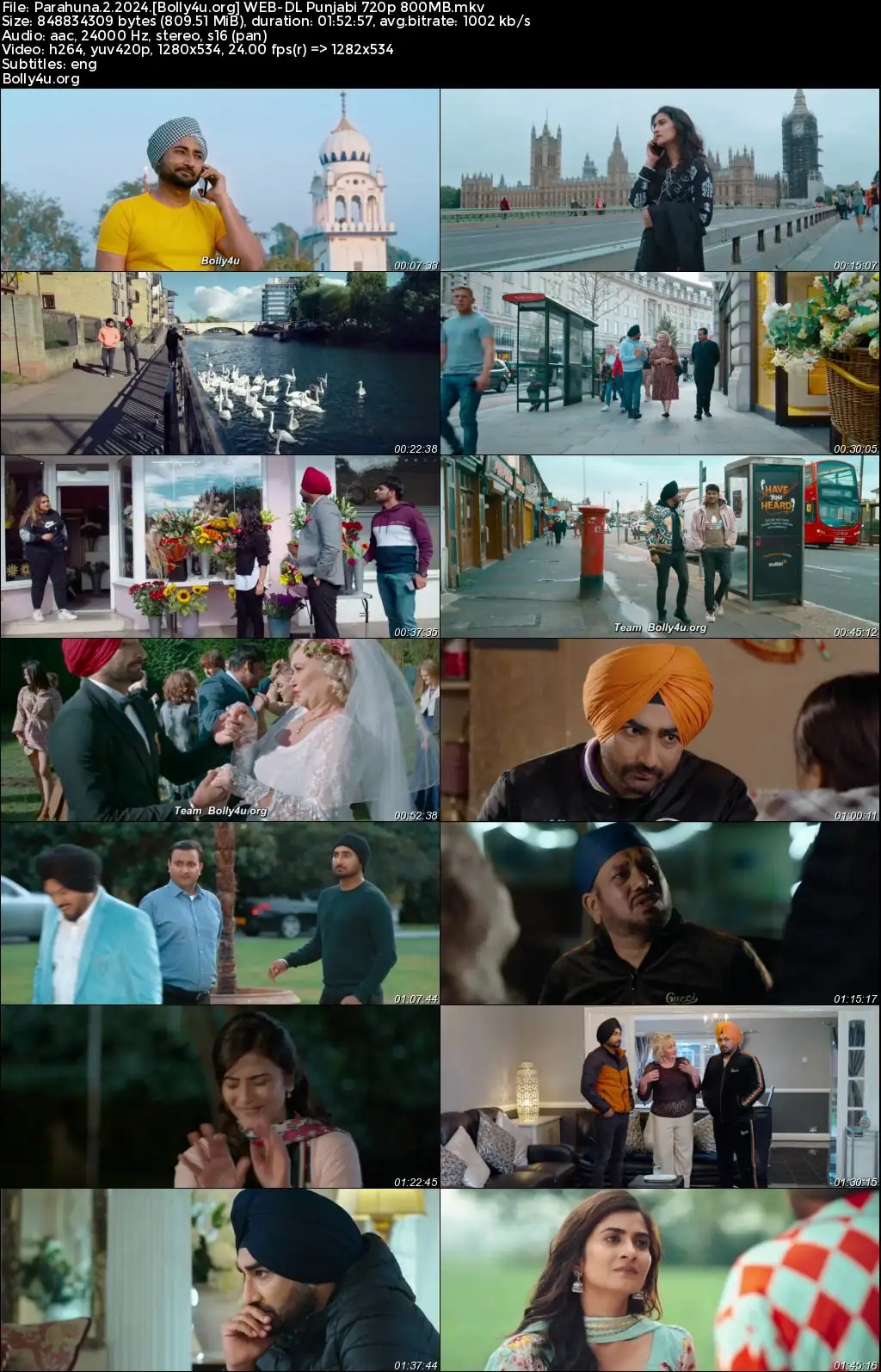 Parahuna 2 2024 WEB-DL Punjabi Full Movie Download 720p  480p