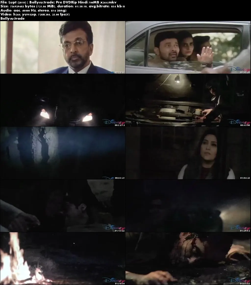 Lupt 2018 Pre DVDRip 350Mb Full Hindi Movie Download 480p