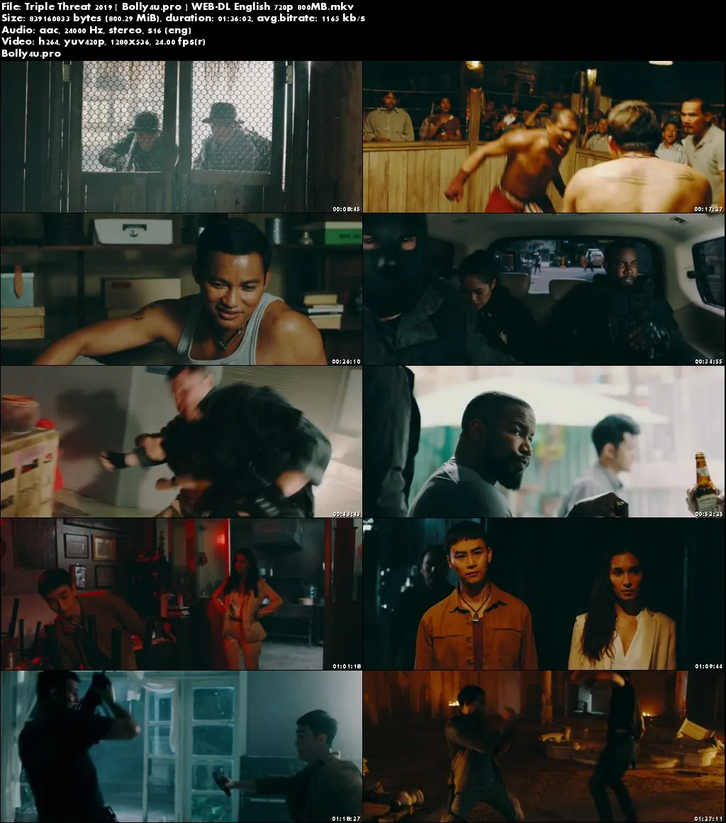 Triple Threat 2019 WEB-DL 300MB English 480p Download Triple Threat 2019 WEB-DL 300MB English 480p Download