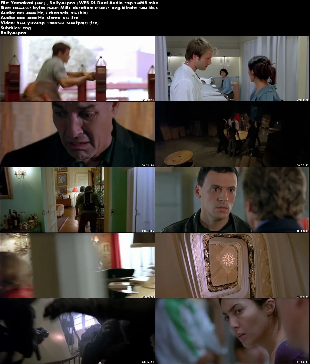 Yamakasi 2001 WEB-DL 300Mb Hindi Dual Audio 480p Download