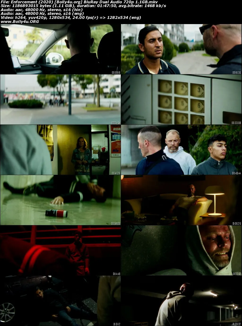 Enforcement 2020 WEB-DL Hindi Dual Audio Full Movie Download