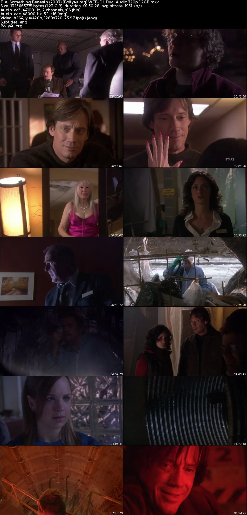 Something Beneath 2007 WEB-DL Hindi Dual Audio Full Movie Download 720p  480p