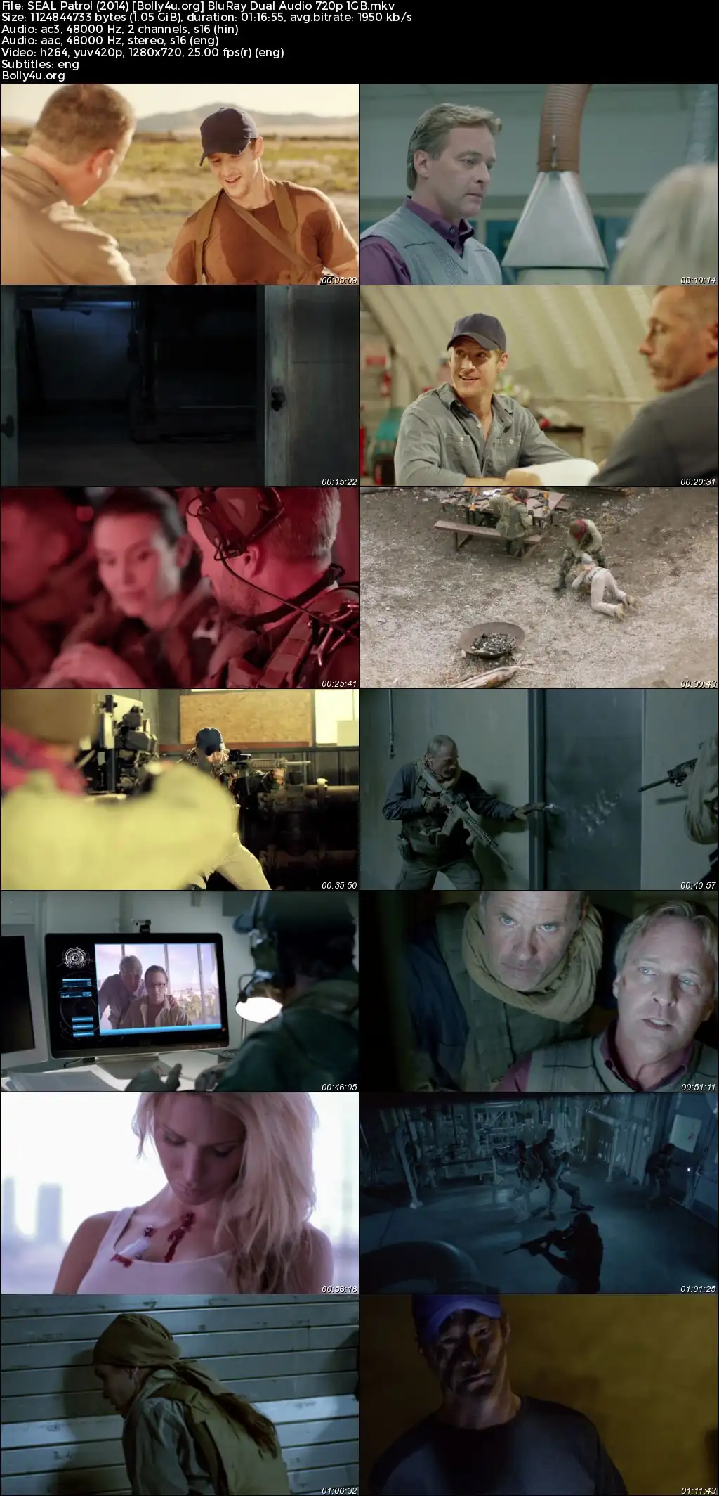 SEAL Patrol 2014 BluRay Hindi Dual Audio Full Movie Download 720p  480p