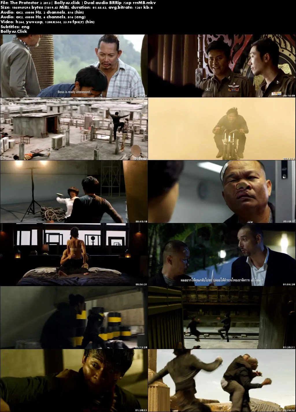 The Protector 2 2013 BluRay 300Mb Hindi Dual Audio 480p Download
