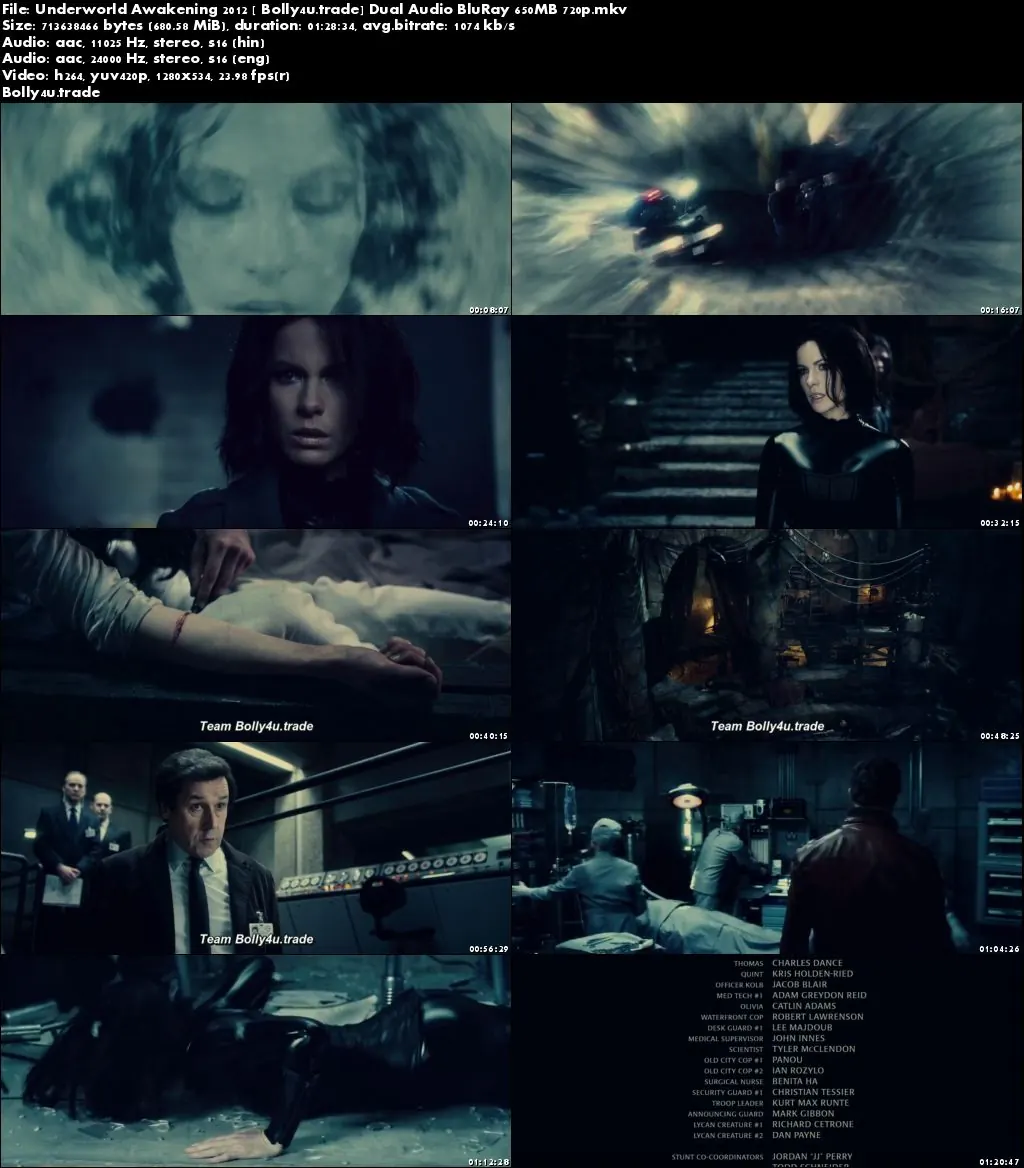 Underworld Awakening 2012 BRRip 300Mb Hindi Dual Audio 480p Download