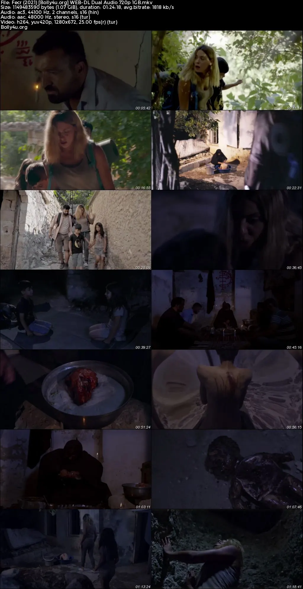 Fecr 2021 WEB-DL Hindi Dual Audio Full Movie Download 720p  480p