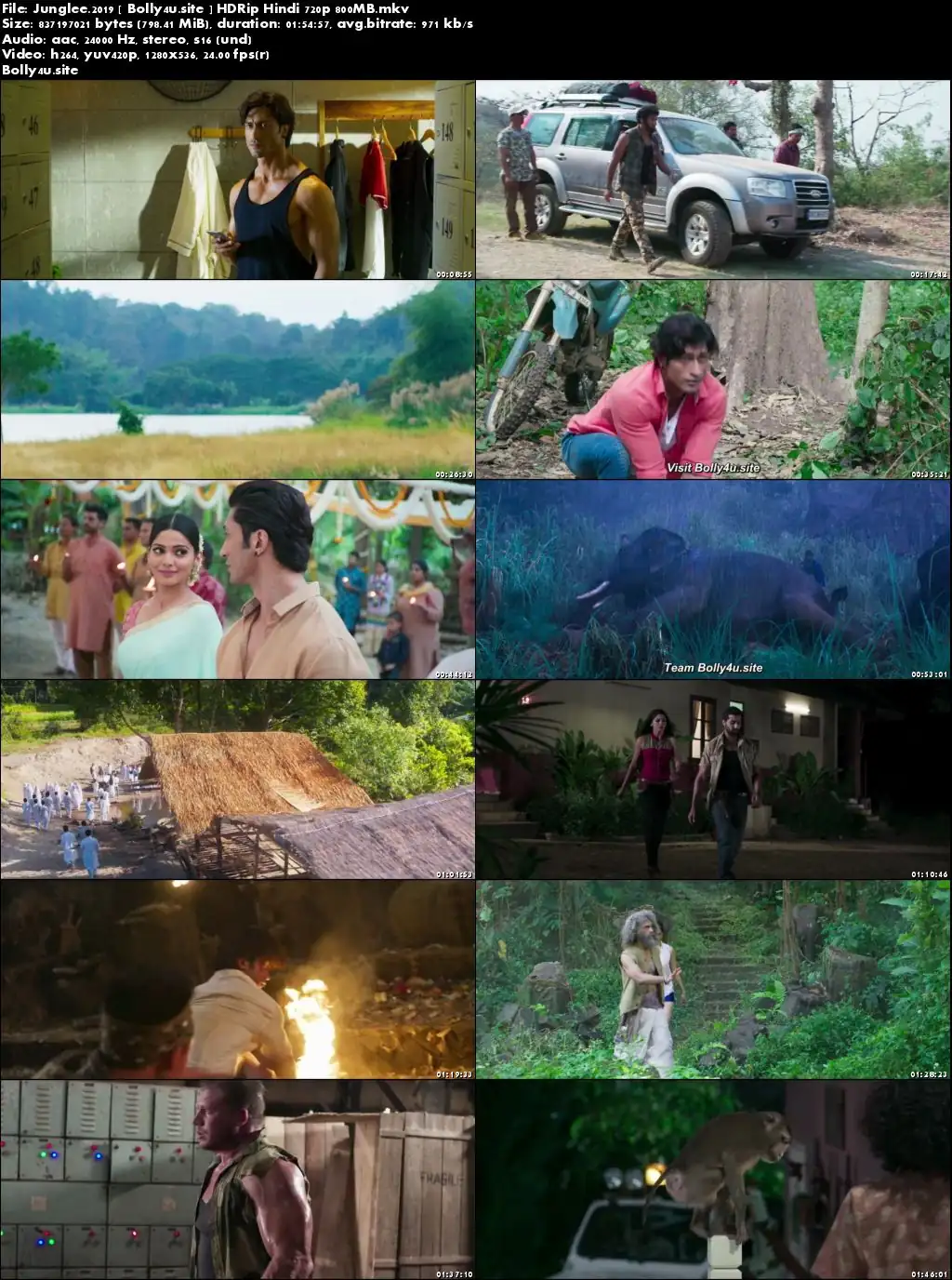 Junglee 2019 HDRip 800MB Hindi 720p x264 Download Junglee 2019 HDRip 800MB Hindi 720p x264 Download