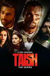 Taish 2020 WEB-DL 400MB Hindi Complete S01 Download 480p poster | Bolly4u Official