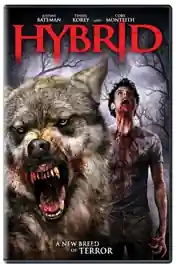 Hybrid 2007 WEB-DL Hindi Dual Audio Full Movie Download 720p | 480p poster | Bolly4u Official