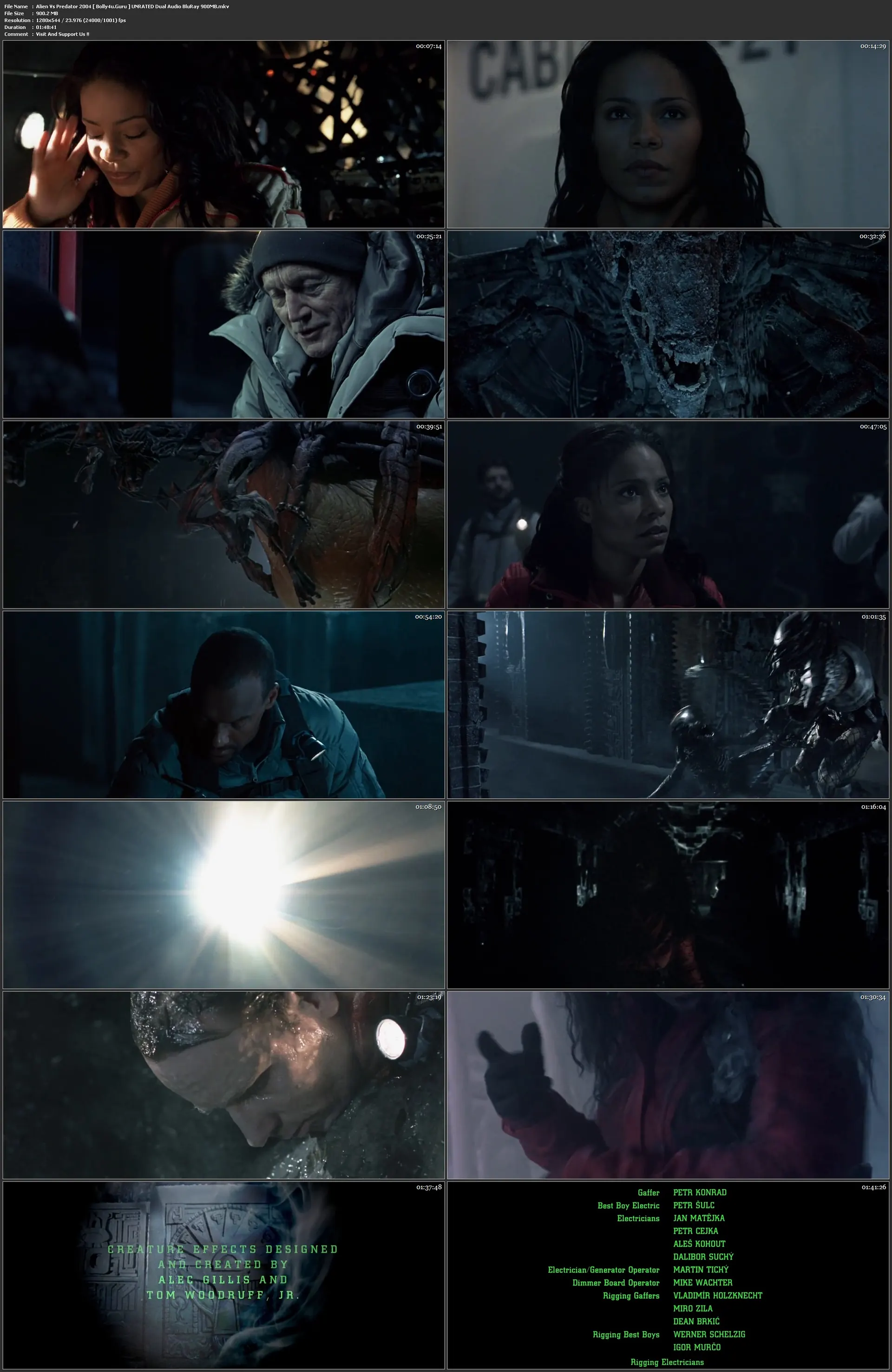 Alien Vs Predator 2004 BluRay 350MB UNRATED Hindi Dual Audio 480p Download