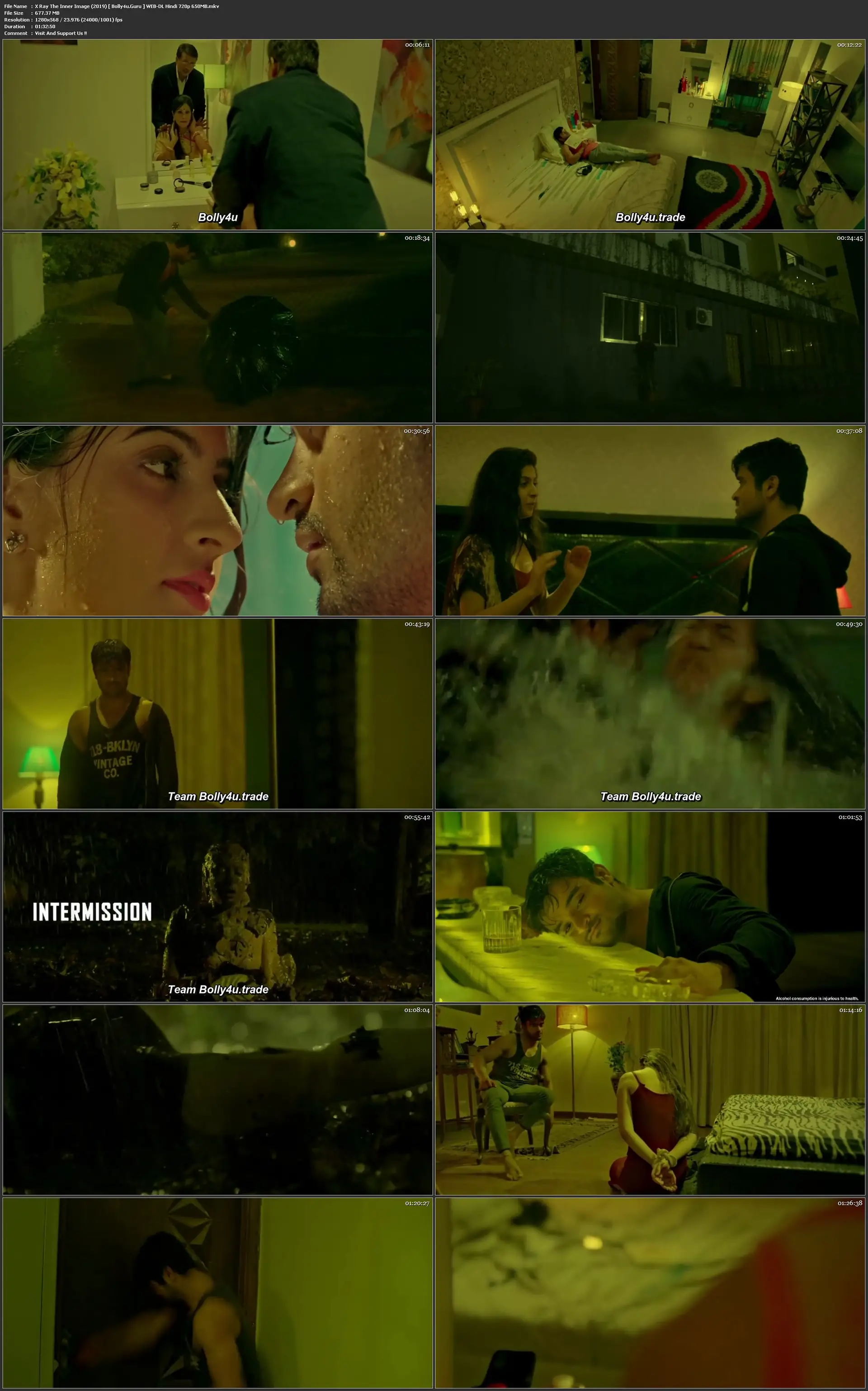 X Ray The Inner Image 2019 WEB-DL 300Mb Hindi Movie Download 480p