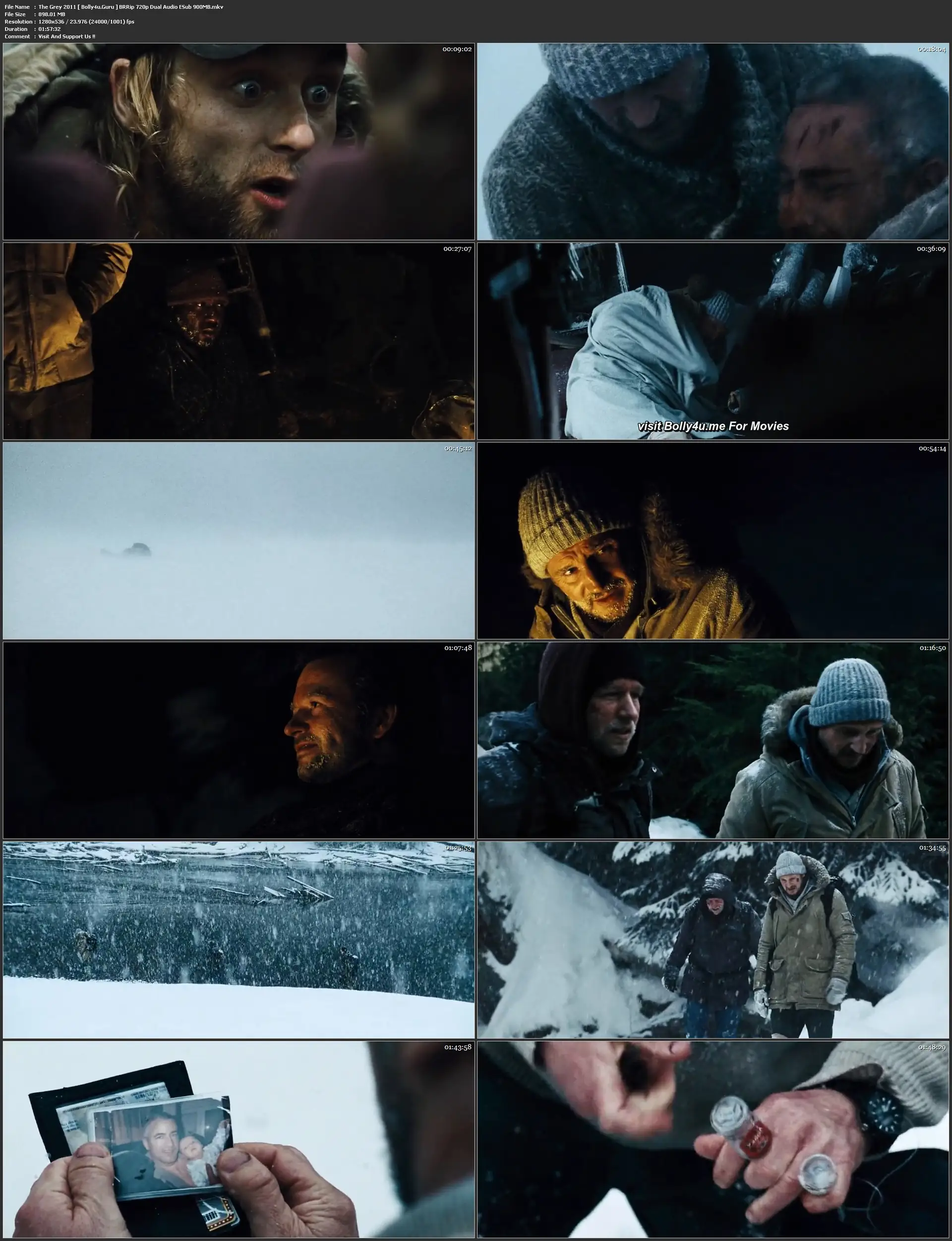 The Grey 2011 BRRip 400Mb Hindi Dual Audio 480p ESub Download