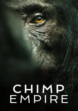 Chimp Empire 2023 WEB-DL Hindi Dual Audio ORG S01 Complete Download 720p Watch Online Free bolly4u Chimp Empire 2023 WEB-DL Hindi Dual Audio ORG S01 Complete Download 720p Watch Online Free bolly4u