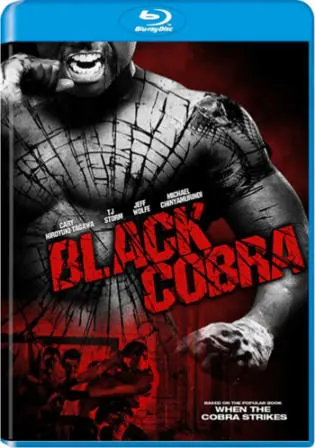 Black Cobra 2012 BluRay 300MB Hindi Dual Audio 480p Watch Online Full Movie Download bolly4u Black Cobra 2012 BluRay 300MB Hindi Dual Audio 480p Watch Online Full Movie Download bolly4u