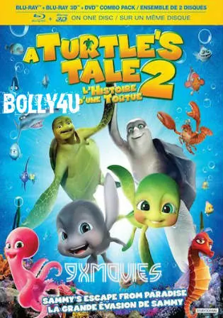A Turtles Tale 2 Sammys Escape from Paradise 2012 BRRip 300MB Hindi Dual Audio 480p Watch Online Full Movie Download bolly4u A Turtles Tale 2 Sammys Escape from Paradise 2012 BRRip 300MB Hindi Dual Audio 480p Watch Online Full Movie Download bolly4u