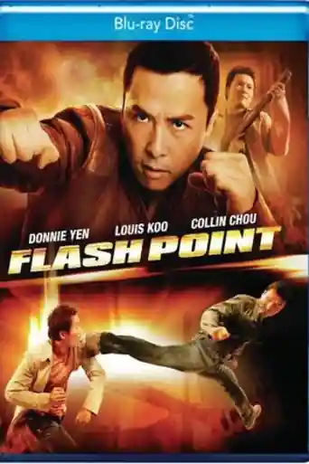 Flash Point 2007 BluRay Hindi Dual Audio Full Movie Download 720p | 480p poster | Bolly4u Official